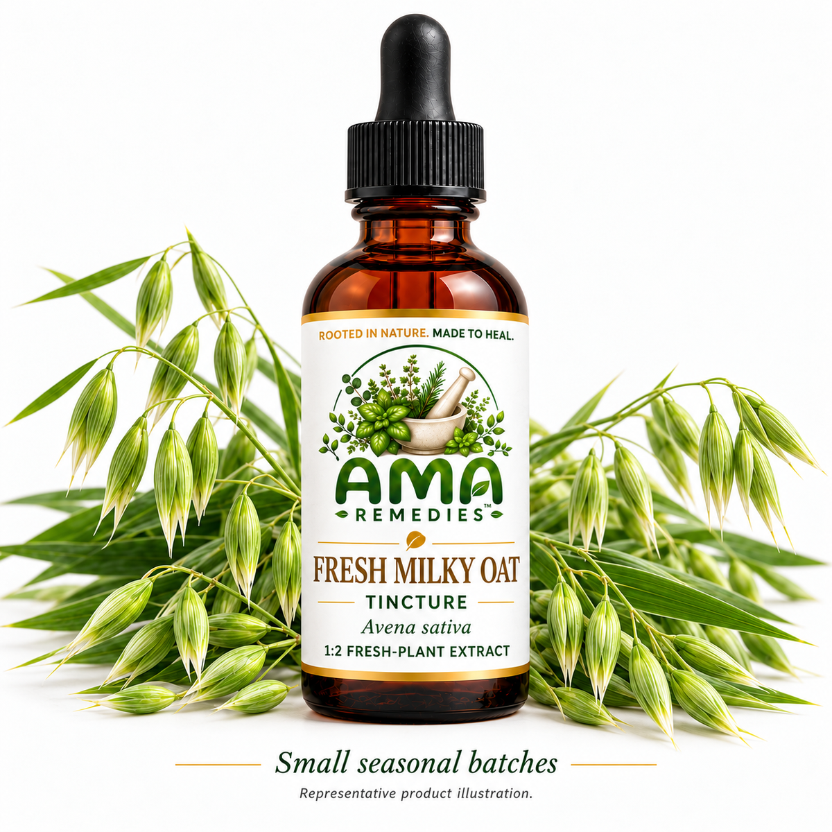 Representative AMA Remedies Fresh Milky Oat Tincture illustration with green Avena sativa seed heads; 1:2 fresh-plant extract.