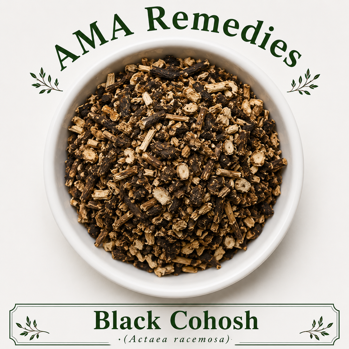 Representative illustration labeled Black Cohosh, Actaea racemosa